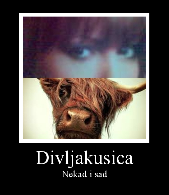 RETARD